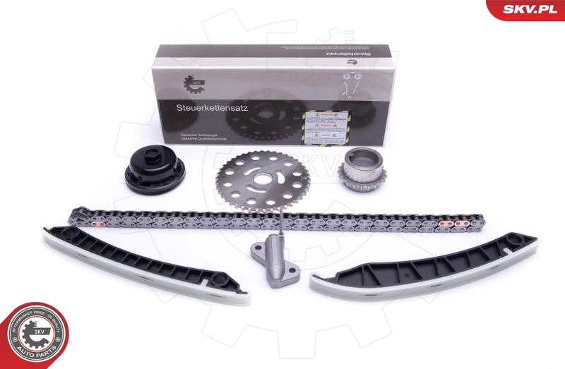Timing Chain Kit